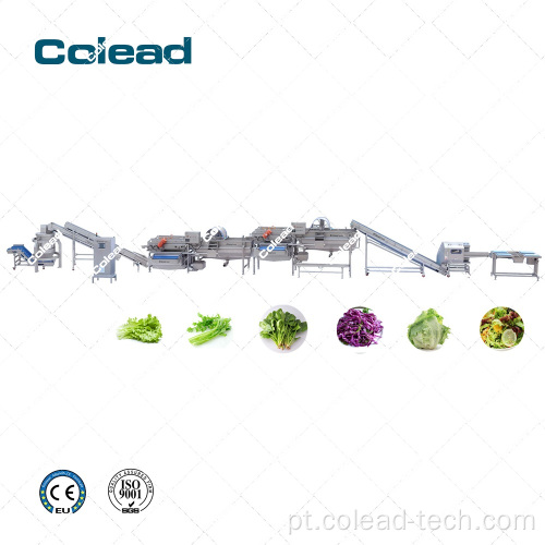 Linha de processamento vegetal industrial para salada